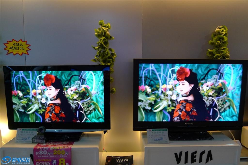 P1020752 (Large).JPG