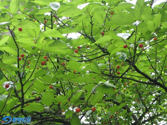 ������ӣ�Һ�,��ɽ����,��ѳ�