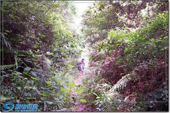 ���ϻ���