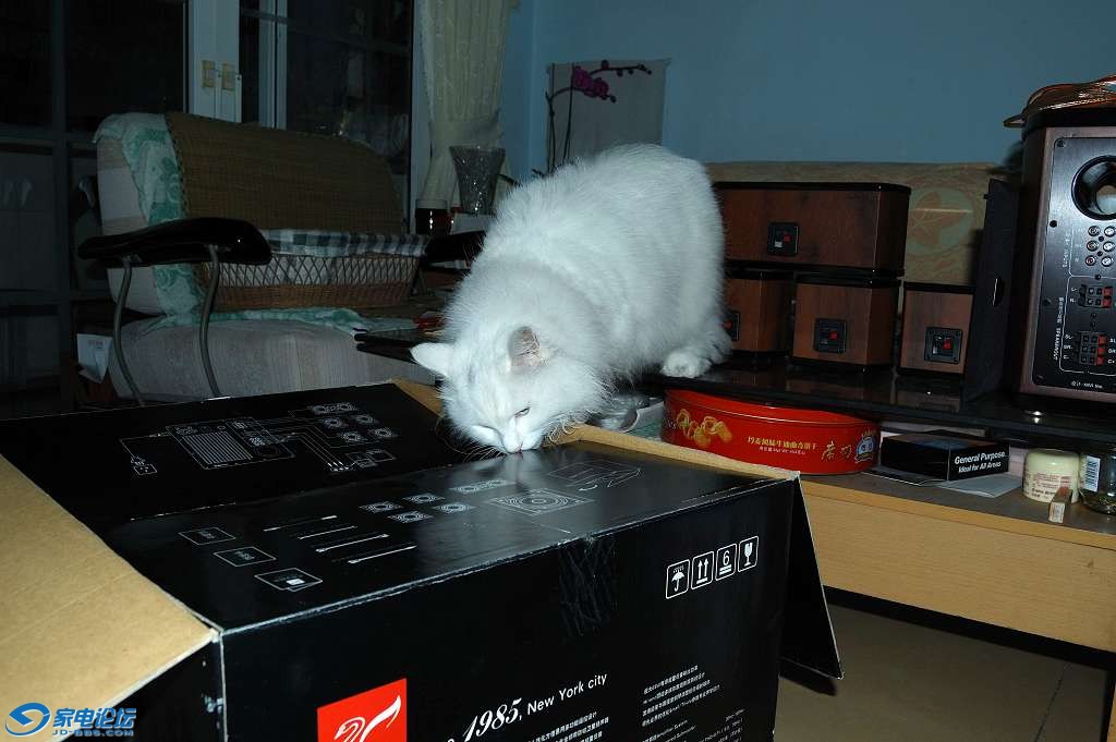 DSC_0105.jpg