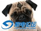u=3234415695,3520105260&fm=0&gp=20.jpg