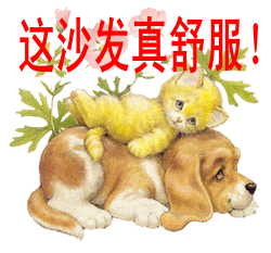 1103f34q627f.jpg