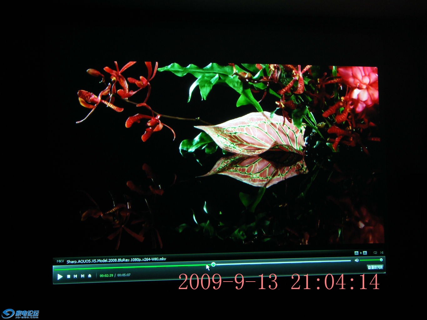 DSCF3059.JPG