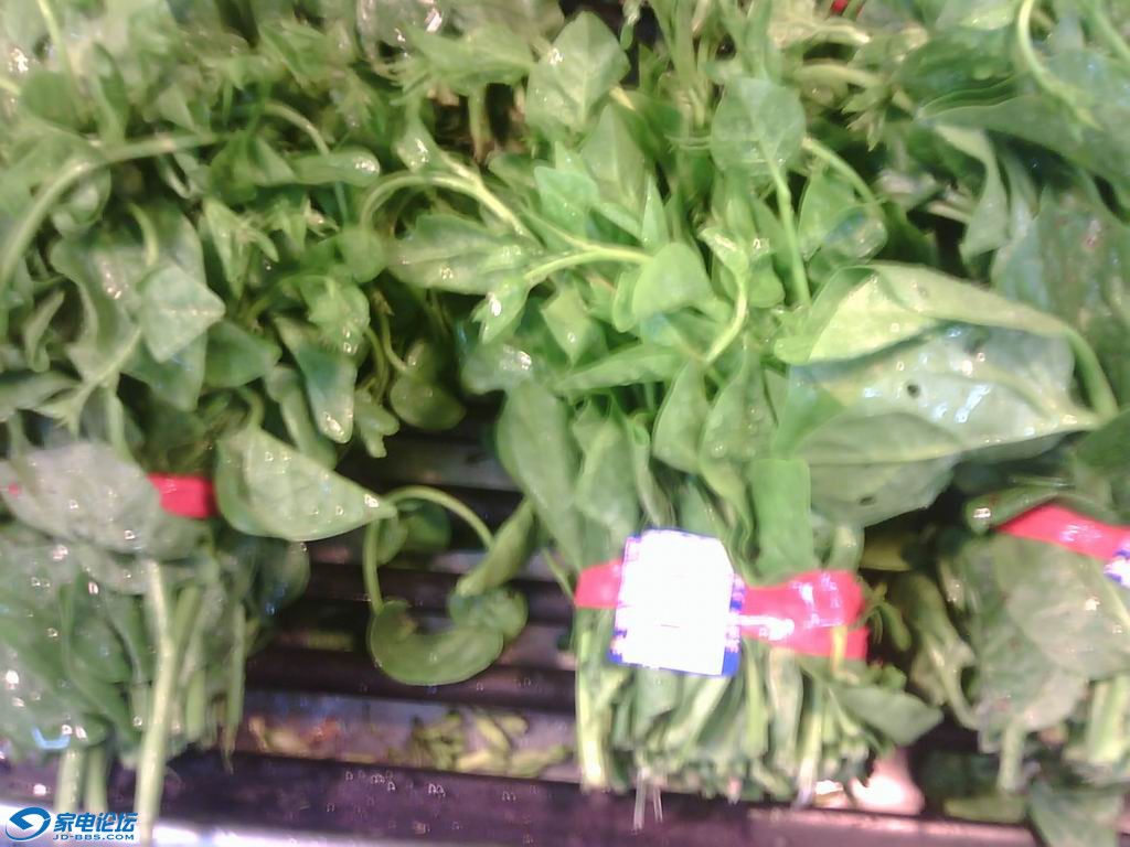 ������С IMG0369A.jpg