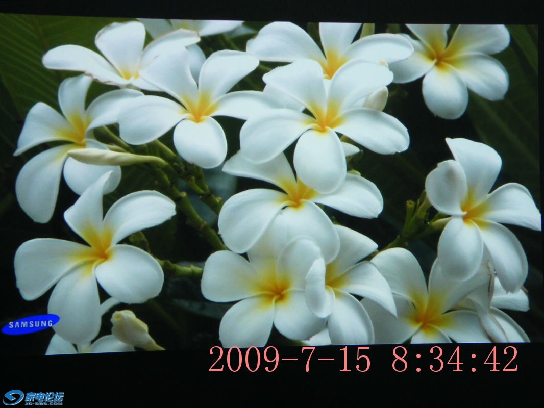 DSCF2376.JPG