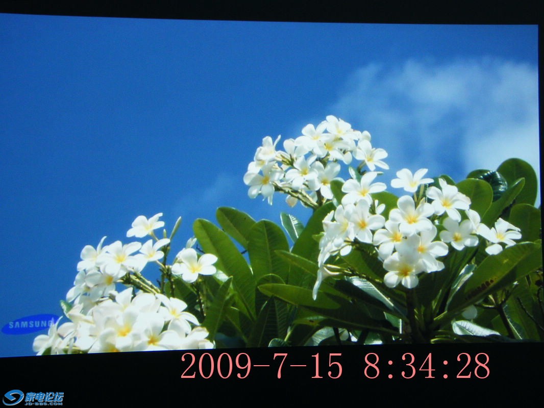 DSCF2375.JPG