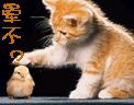 u=1578940473,2634706588&fm=0&gp=-30.jpg