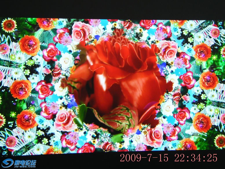 DSCF2480.JPG