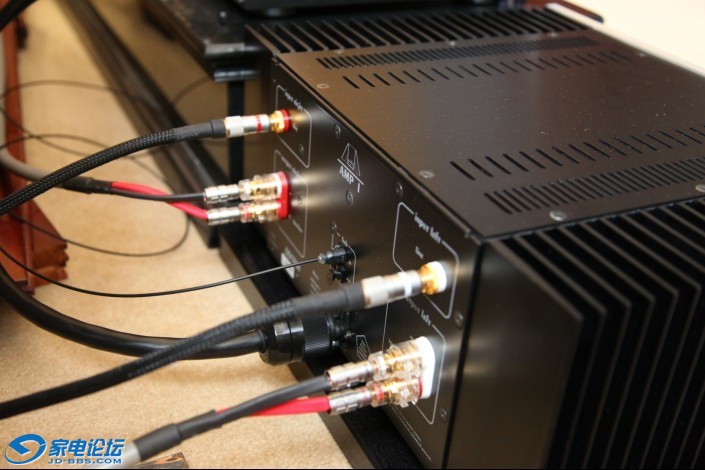 amp1 back.jpg