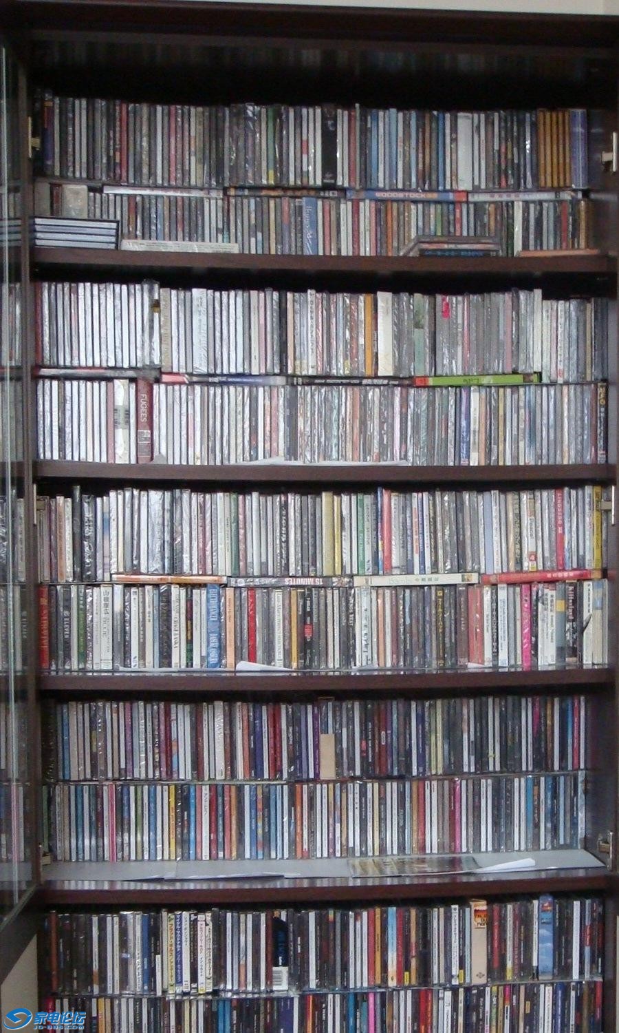 CD ȫΪԭ