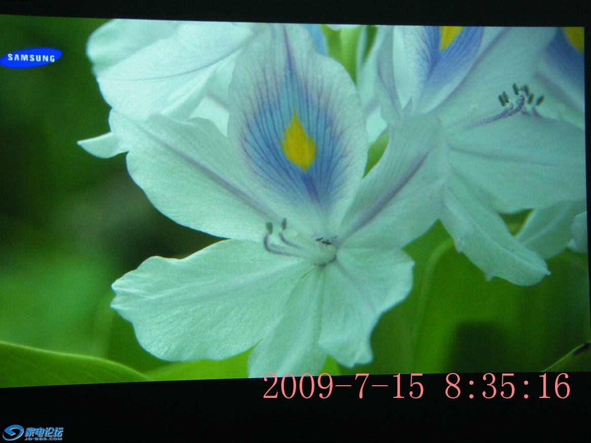 DSCF2378.JPG