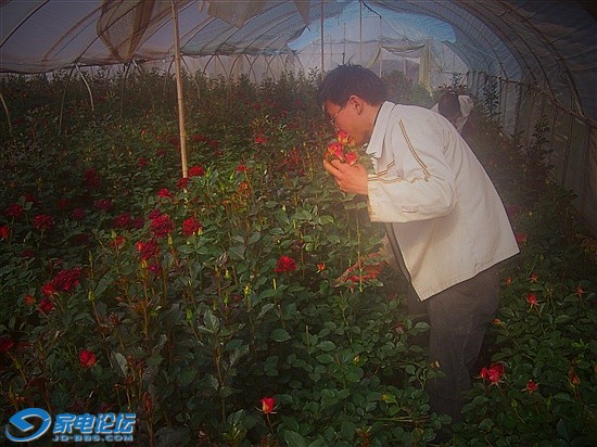 ԭ���ɻ�������~~