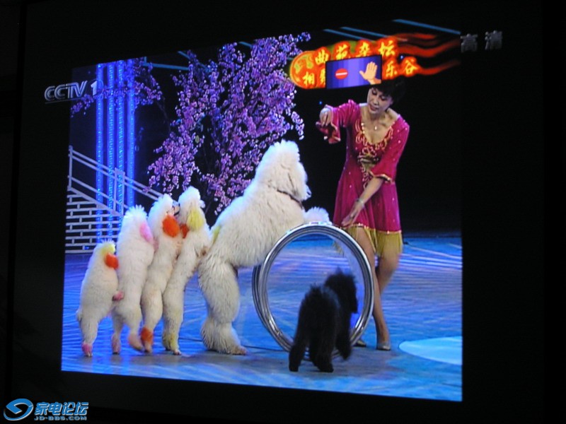 ����1�׸���<��4\3��Ŀ��α����