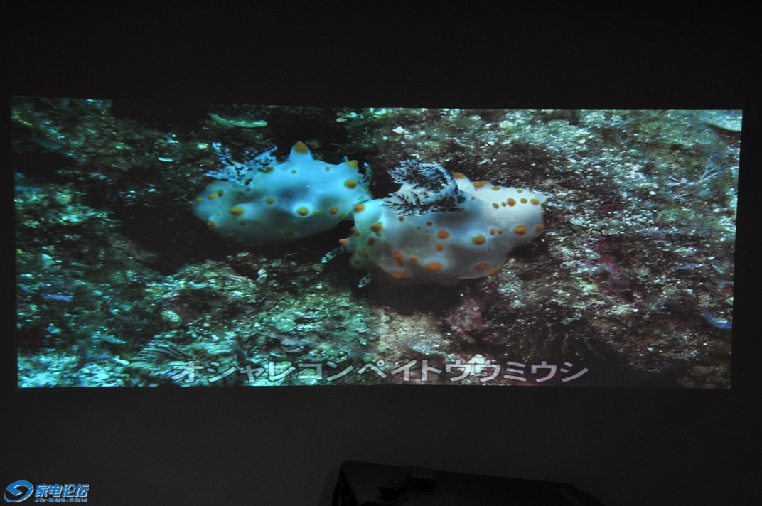 DSC_0064_С.JPG