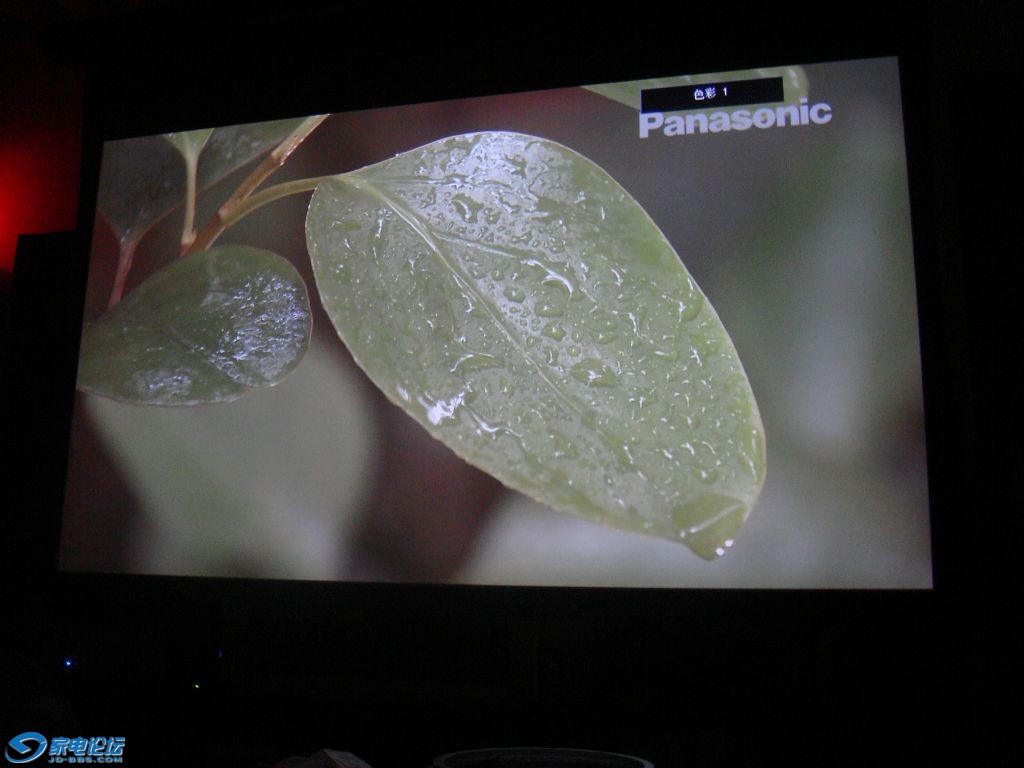 DSC03771_nEO_IMG.jpg