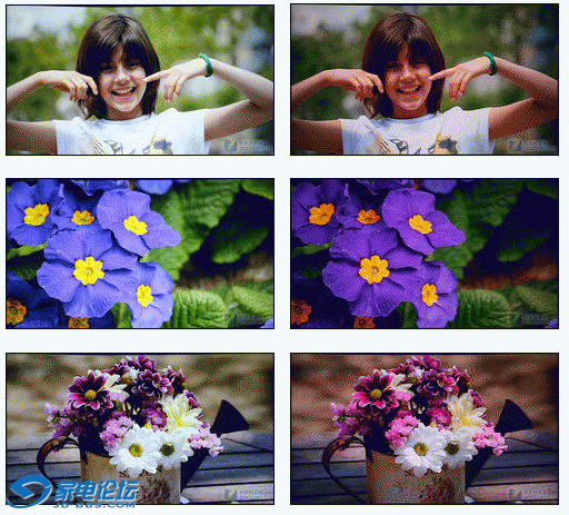 2.gif