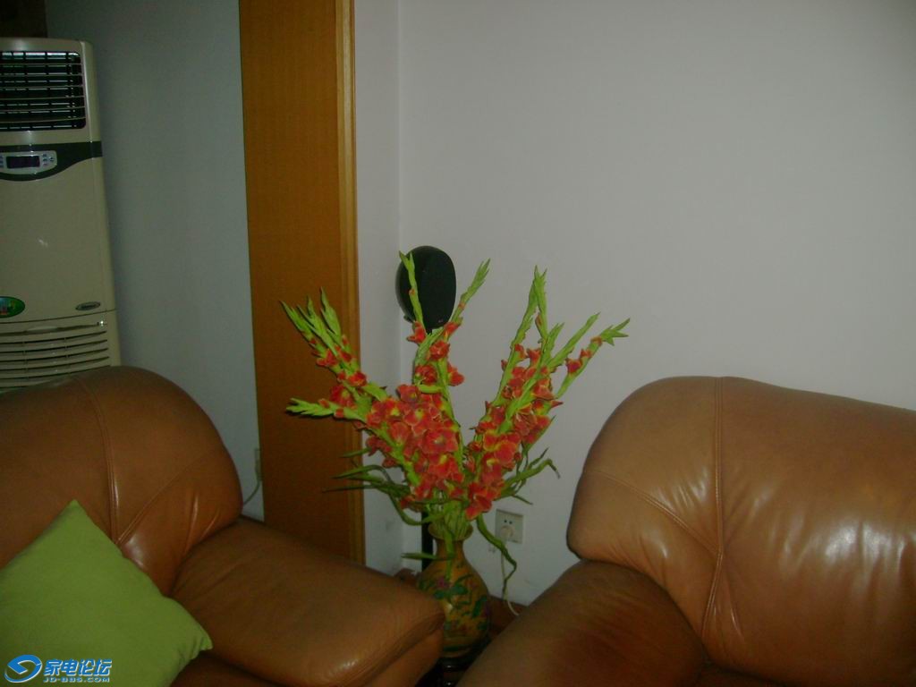 06.JPG