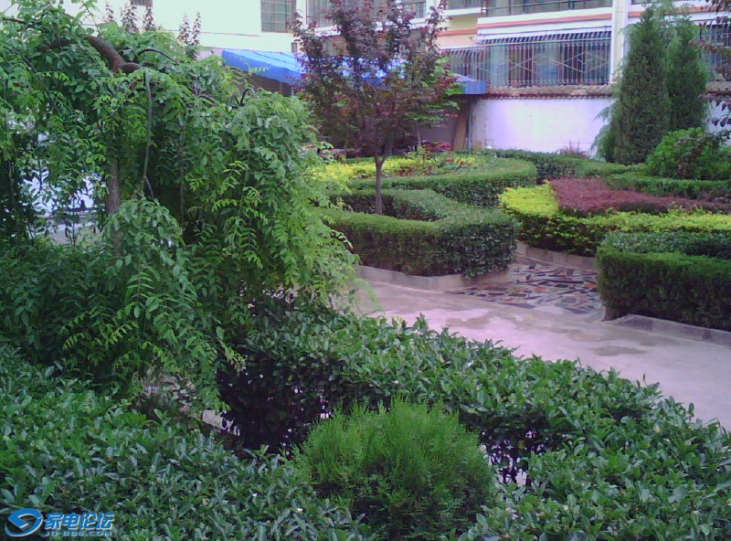 ת image20100520_172027.jpg