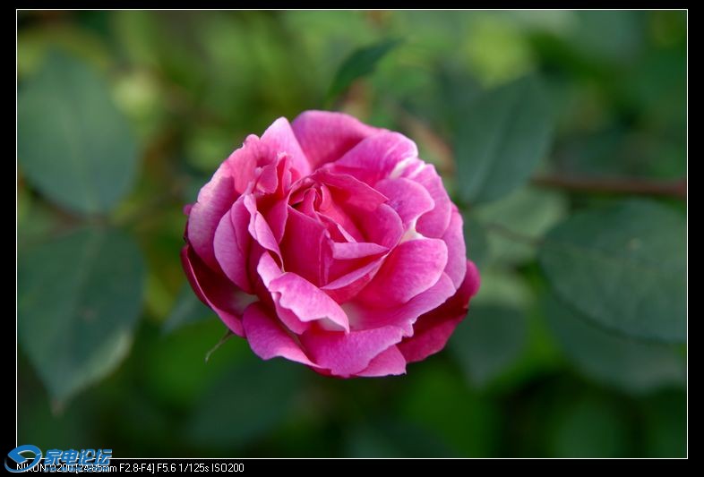 DSC_0178.JPG