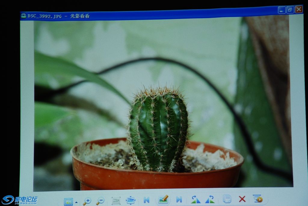 nEO_IMG_DSC_4798.jpg