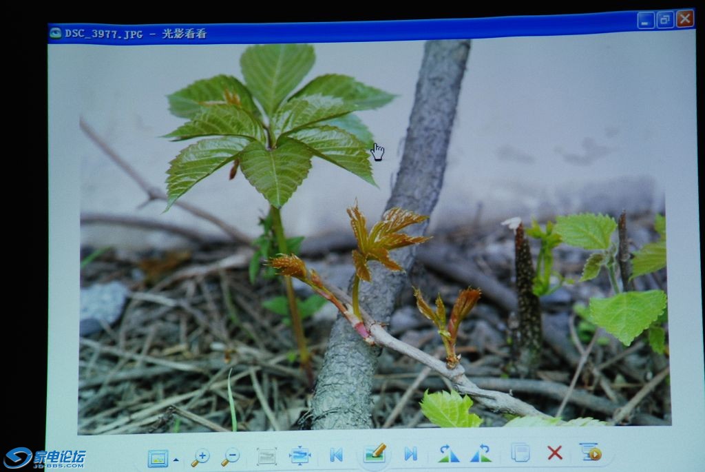 nEO_IMG_DSC_4796.jpg