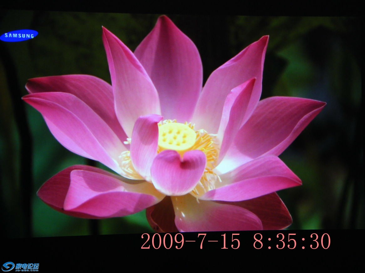 DSCF2379.JPG