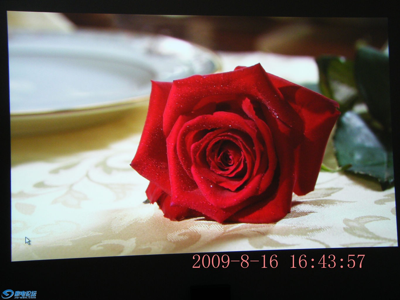 DSCF2916.JPG
