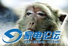 u=1373511786,1523829&fm=0&gp=0.jpg