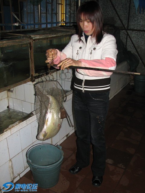 IMG_0204.jpg