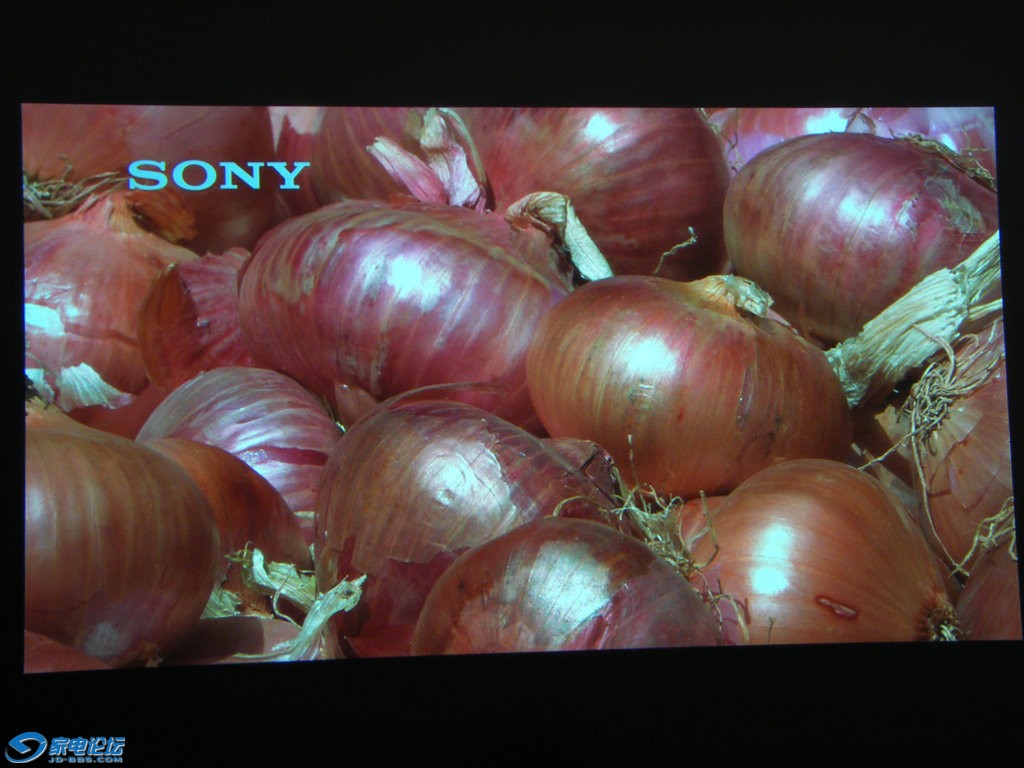 DSCF4903.JPG