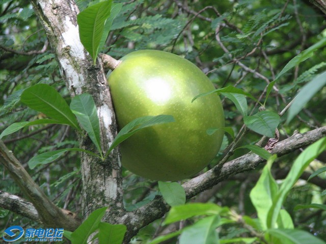 IMG_0282_СС.JPG