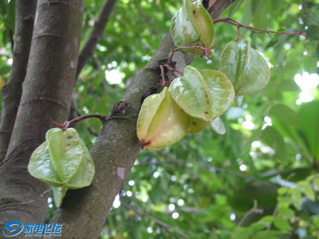 IMG_0289_СС.JPG