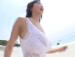 204195.gif