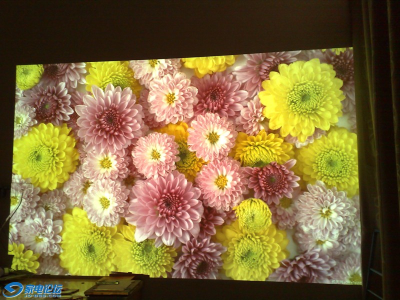 20100718367.jpg