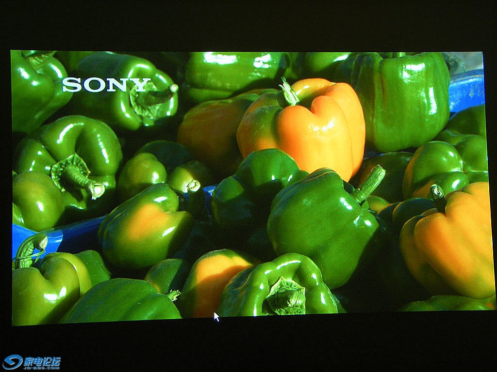 DSCF4904.JPG