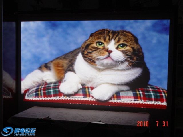 DSC09162.JPG
