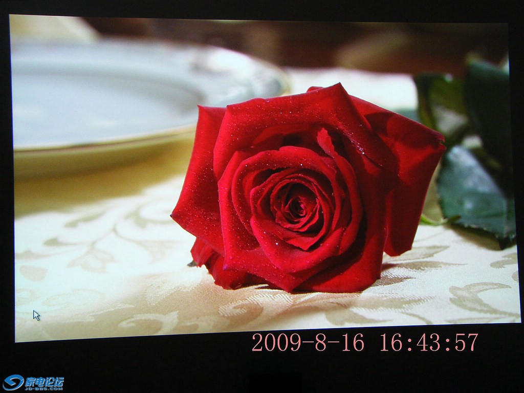 DSCF2916.JPG