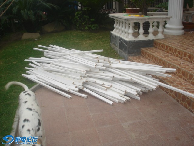 DSC01678.JPG