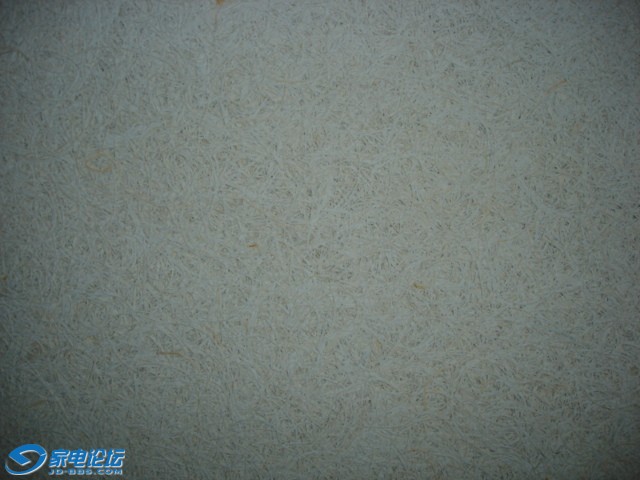 DSC01980.JPG