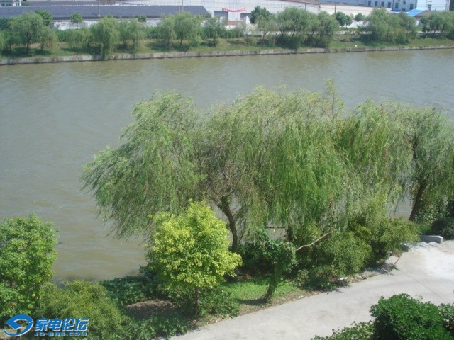 DSC01561.JPG