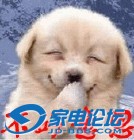 u=2486296744,3749907060&fm=0&gp=0.jpg