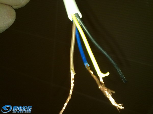 20101121304.jpg