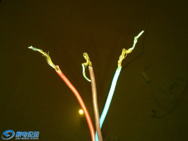 20101121303.JPG