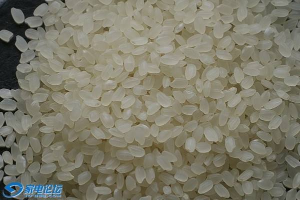 �ձ�Խ���� 10a.jpg