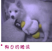 20101105_e55ce4b318af7368de5cn18n83L6JdSn.gif