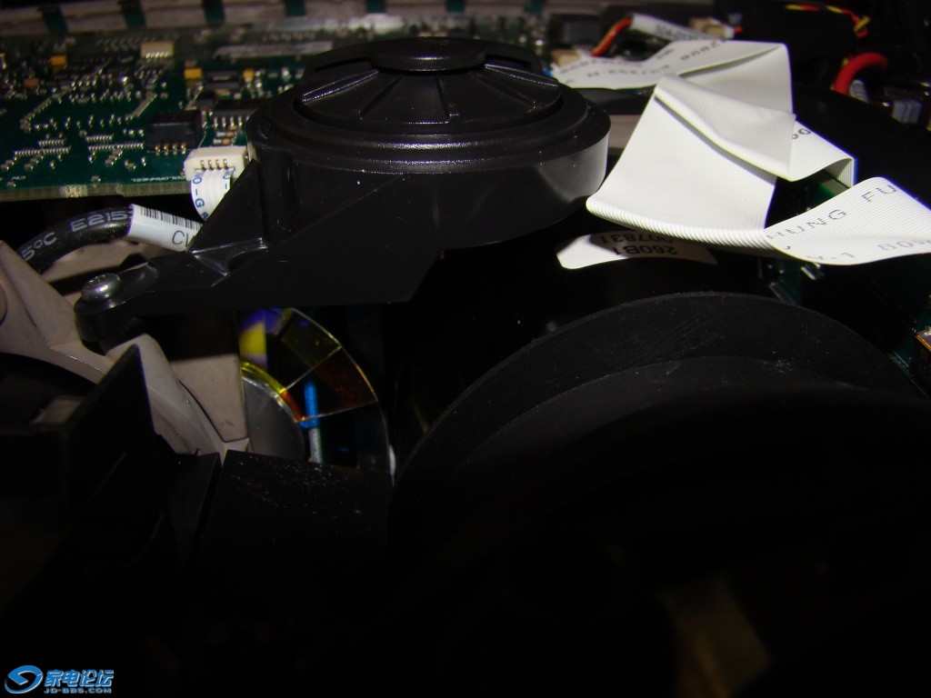 DSC05039-gp2.jpg