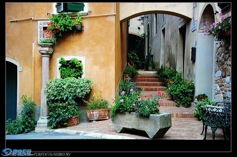 nEO_IMG__DSC5913.jpg