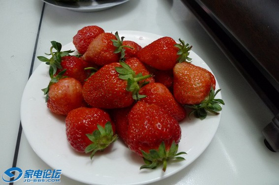 P1010016.JPG