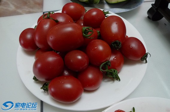P1010020.JPG