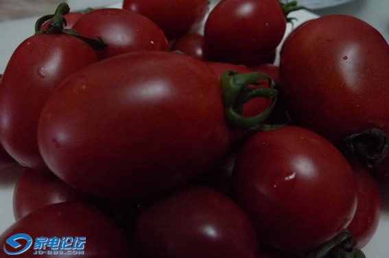P1010021.JPG